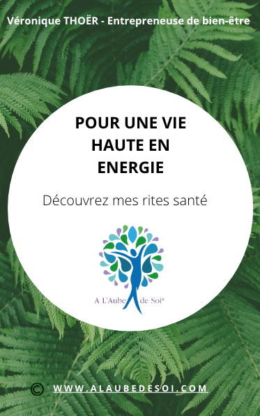 Visuel cadeau ebook "Pour une vie haute en énergie"