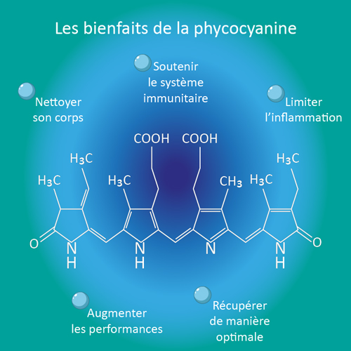 Illustration présentant les bienfaits de la phycocyanine